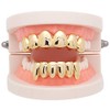 Psivika Gold Plated Shiny Hip Hop Teeth Grillz Caps Iced