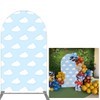 FiVan Arched Backdrop for Birthday Baby Shower Party Decoration Arch