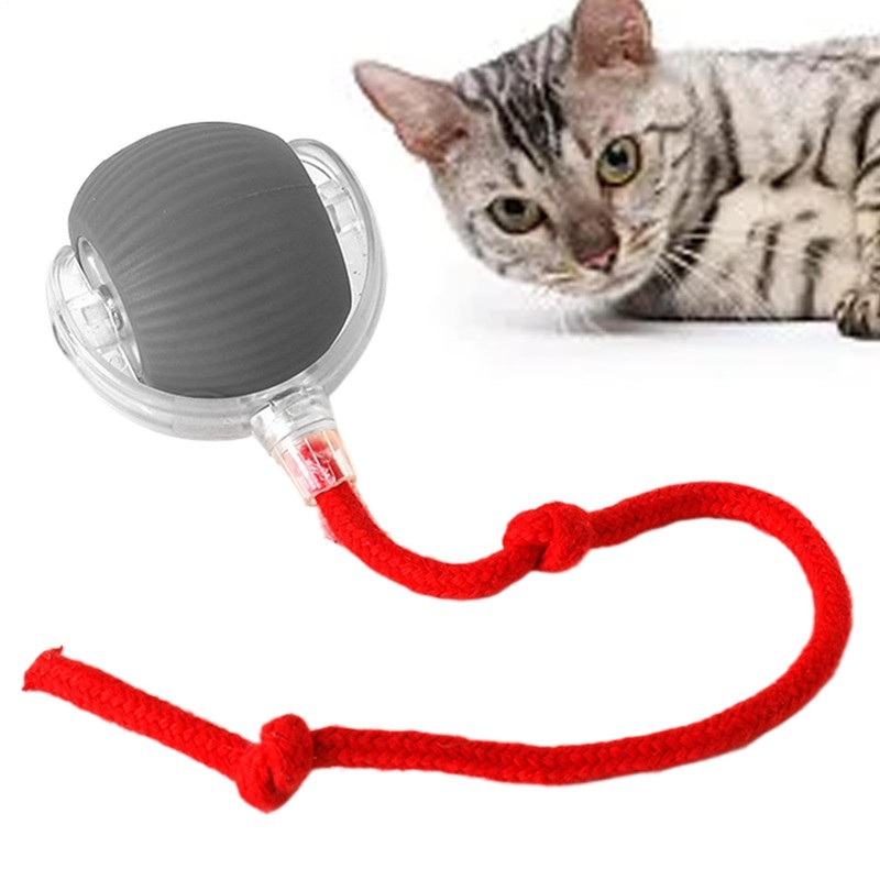 Interactive Cat Toy Ball, Dog Active Rolling Ball, Automatic Moving