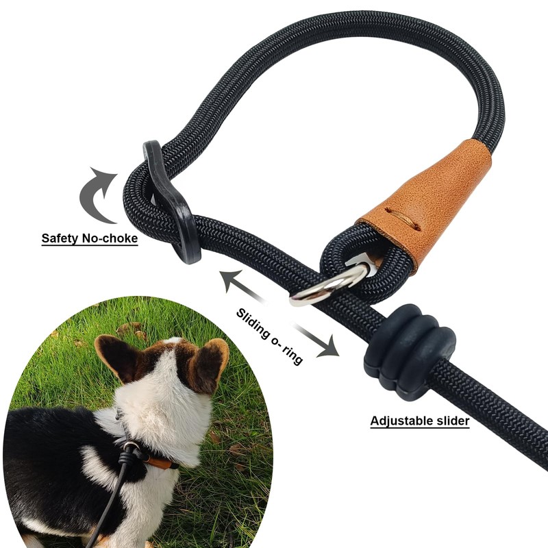Boswany 6ft Small Slip Lead Dog Training Leash, 1/4-In Lightweight