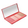 Addictive Blush Palette Rubor Larga Durarion Goc Makeup Tono del