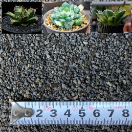 Leap Raupe [Washed] Fuji Sand, Small 0.5L Mulching, Agave Cosmetic Sand, Black, Cosmetic Stone, House Plant, 0.04 - 0.1 inches (1 - 3 mm)