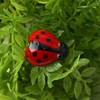 CGB Giftware Glass Ladybird | Collectable Ornament | Decorative |