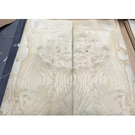 White Ash Burl wood veneer raw with no backing Ash White Burl wood veneer 11" x 23" raw no backing 1/42" thickness A grade