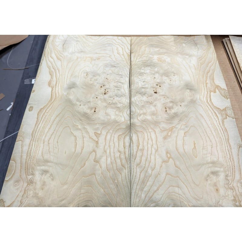 White Ash Burl wood veneer raw with no backing Ash