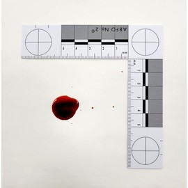 Crime Scene Photomacrographic Scale (No.2-Metric)