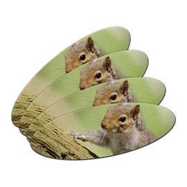 Cute Squirrel on Tree - Hammy Double-Sided Oval Nail File Emery Board Set 4 Pack