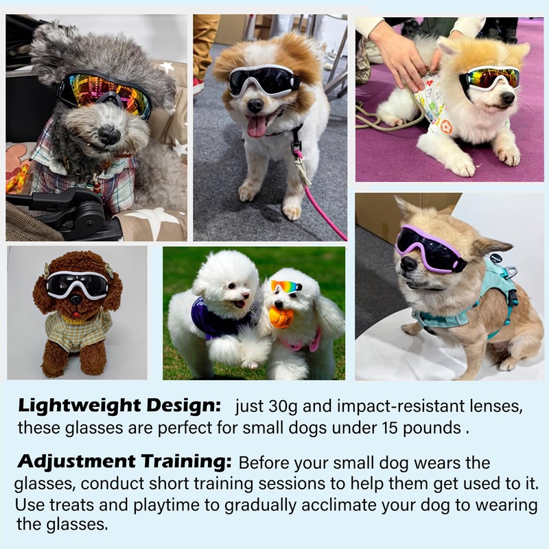 Small Dog Sunglasses with Adjustable Strap UV Protection, Winproof Puppy
