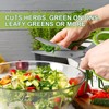 Herb Scissors, Shallot Scissors, Multipurpose 5 Blade Kitchen Herb Shears,