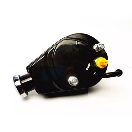 espeedpro21 SBC BBC Chevy Black Saginaw Style Power Steering Pump with Double Groove Pulley