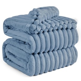 Bedsure Bedsure King Blanket for Couch - GentleSoft Cozy Soft Blankets for Women, Cute Large Throws for Girls, Ashley Blue, 108x90 Inches