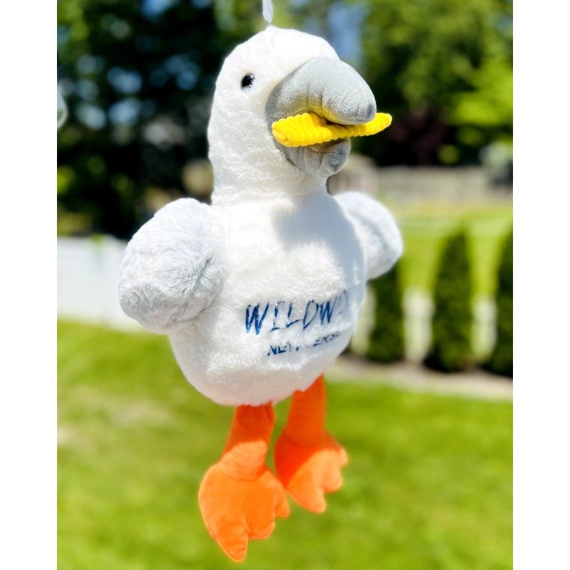 LARGE Seagull with fries