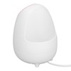 Face Steaming Machine Deep Cleansing Hydrating Hot Mist Face Humidifier