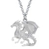 DUOWEI Enamel Welsh Dragon Necklace Enamel Fantasy Dragon Jewellery Novelty