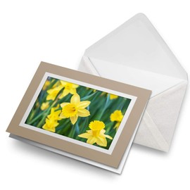 Greeting Cards Biege (Insert) - Daffodil Flower Field Easter Blank Greetings Card Birthday Kids Party Boys Girls #14350