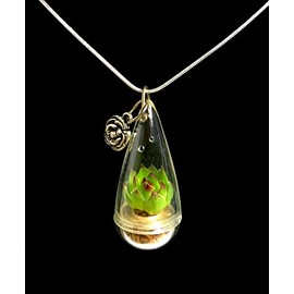 Live Lotus Succulent Necklace Wearable Miniature Succulent Necklace Live Terrarium Necklace (28 Inches)
