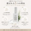 Heart Hair Botanical Hair Milk cocorogami 3.4 fl oz (100