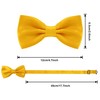 Time to Sparkle Bow Tie Mens Bowties Pre-tied Shape Clip
