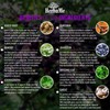 HerbaMe Advanced Immune System Booster 15 in 1 with Elderberry,