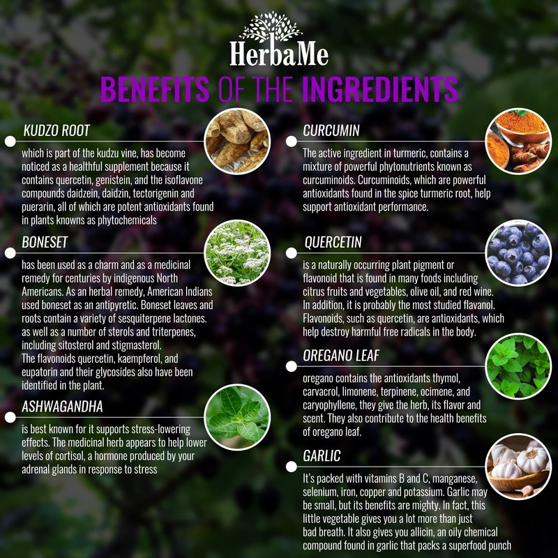 HerbaMe Advanced Immune System Booster 15 in 1 with Elderberry,
