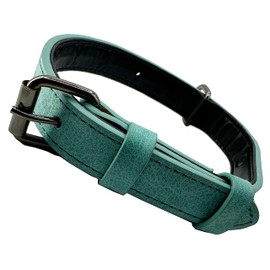 Adjustable Dog Collar, Simple, Robust, Weather-Resistant for Puppies, Small, Medium, Large Dogs, Classic Dog Collar (M: 2.5 cm Wide for 39 cm - 49 cm Neck, Green)