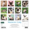 Siamese Cats 2023 Wall Calendar