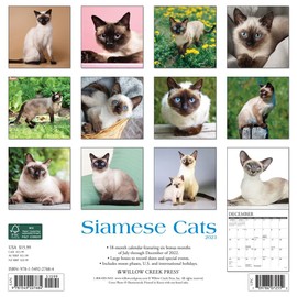 Siamese Cats 2023 Wall Calendar
