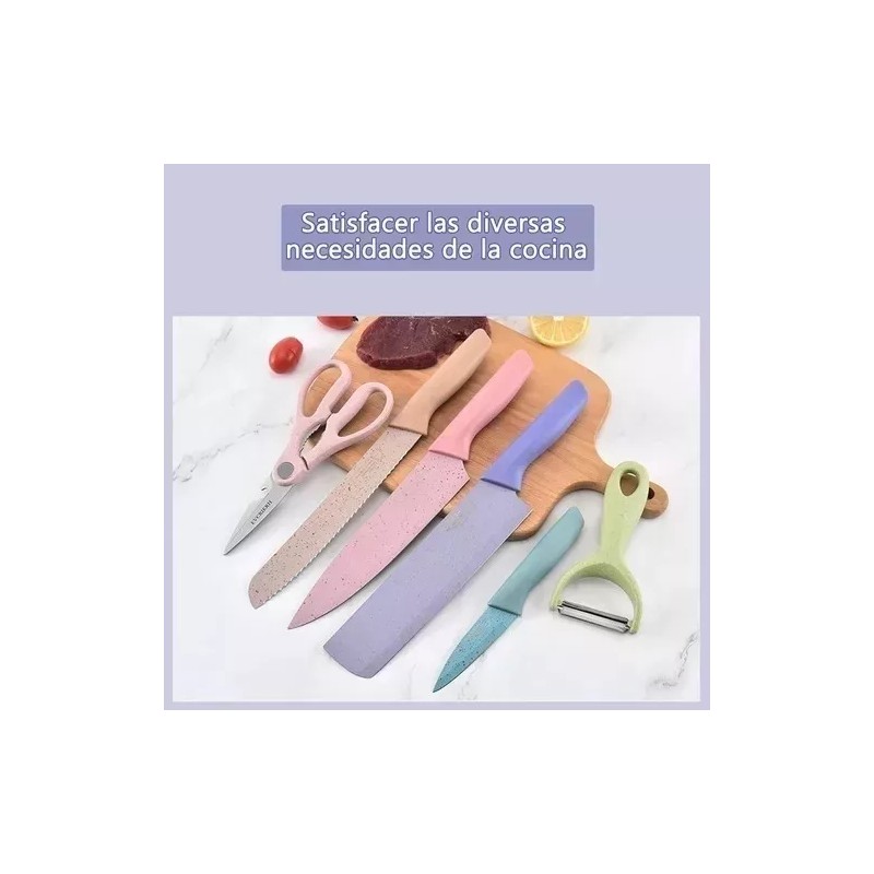 Didier Market Juego De 6 Cuchillos Cocina Color Pastel Acero