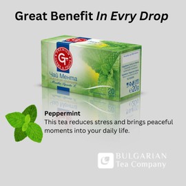 Premium GT Herbs & Fruits Herbal Tea 20 Tea Bags 1.5g (Peppermint)
