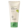 Skinfood Berry Calming Sun Cream SPF50+ PA++++, 50ml, 1 piece / 스킨푸드 베리 진정 선크림 SPF50+ PA++++, 50ml, 1개