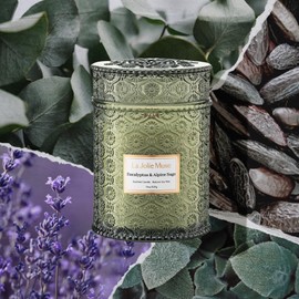 LA JOLIE MUSE Scented Candles Eucalyptus & Alpine Sage, 19 oz Large Wood Wicked Candle, Decorative Candles in Glass, Natural Soy Wax, 90 Hours Long Burning
