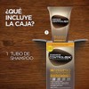 Just For Men Control GX Shampoo Desvanecedor Canas Hombre 3