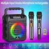 Portable Karaoke Machine for Adults with Display and Controls