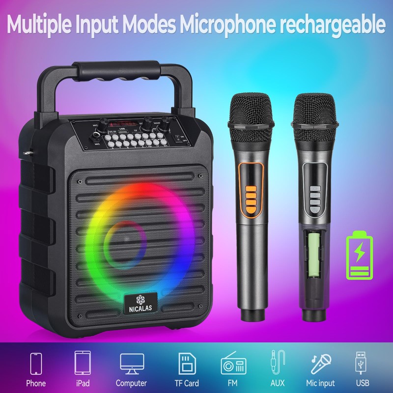 Portable Karaoke Machine for Adults with Display and Controls