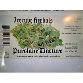 New Icecube's Triple Extracted Purslane Tincture (2 oz.)
