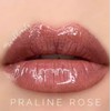 LipSense PRALINE ROSE Full SeneGence Size Long Lasting Liquid Lip