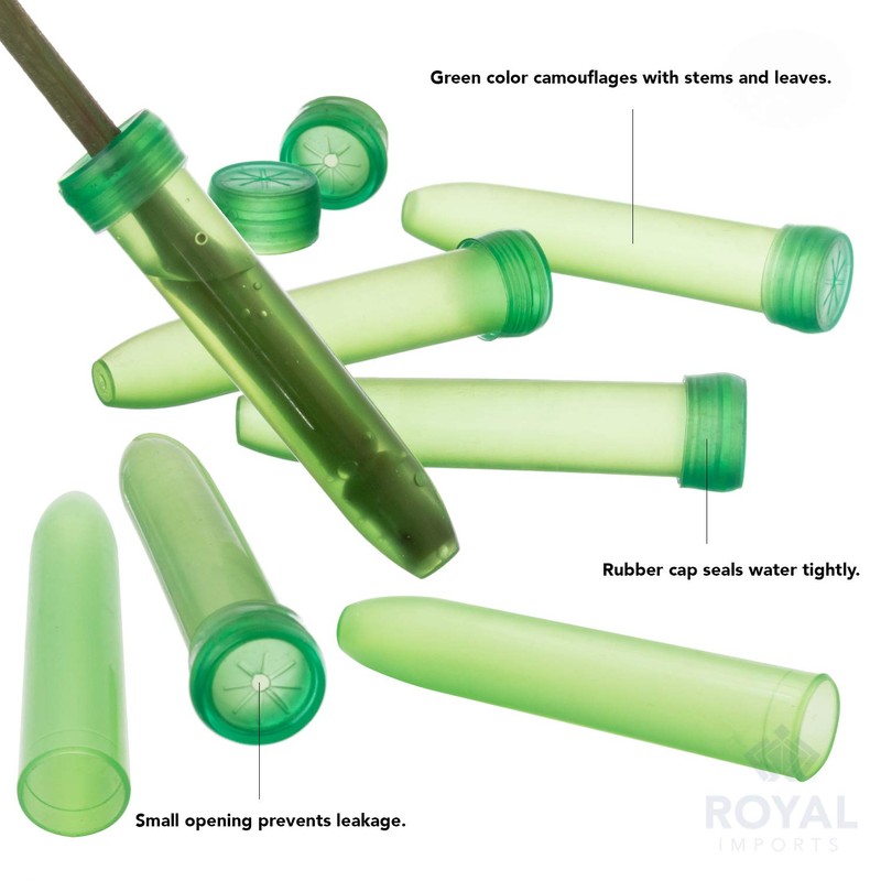 Royal Imports Floral Water Tubes/Vials for Flower Arrangements, Green -