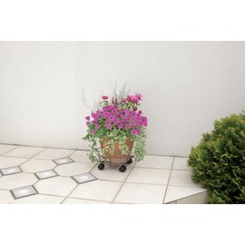 Hawks Show Container Carry Guard