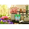 Miracle-Gro Water Soluble Azalea, Camellia, Rhododendron Plant Food - Fertilizer