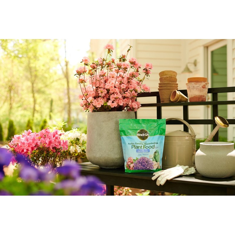 Miracle-Gro Water Soluble Azalea, Camellia, Rhododendron Plant Food - Fertilizer