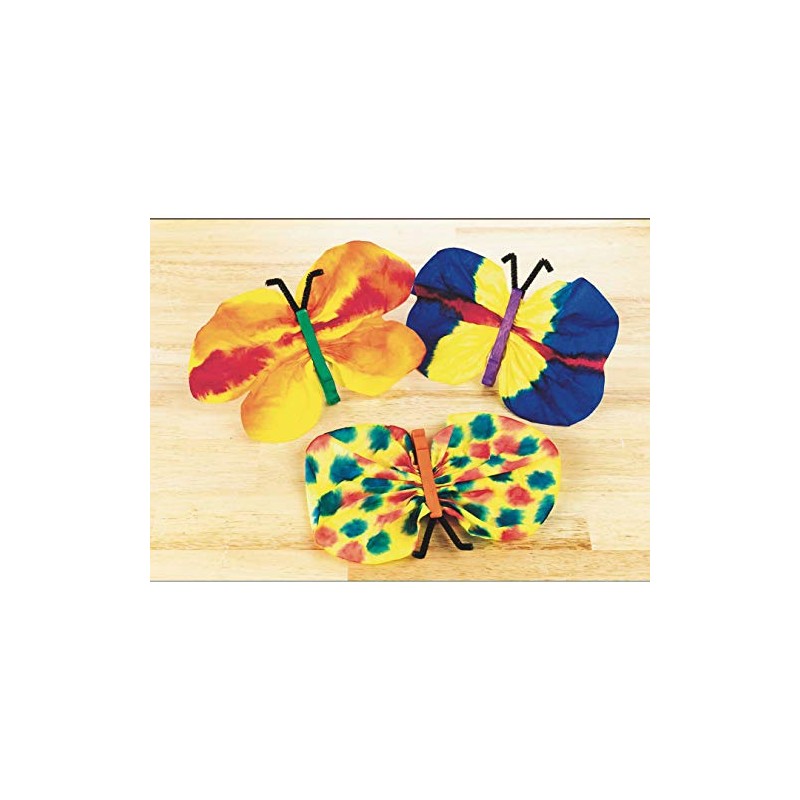 Scholastic Watercolor Butterflies Craft Kit