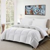 Gooeb Flat Bed Pillows Queen Size Set of 2 Soft