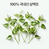 Pure Zoom Sambaek Chom extract efficacy Coen Macmundong 60 tablets