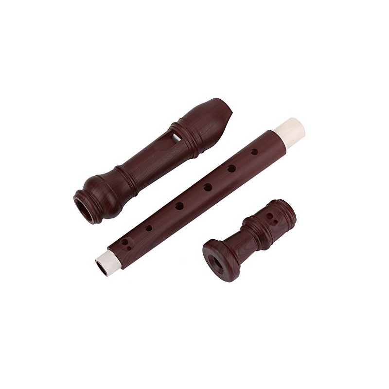 VGEBY Grabador Musical, Flauta Soprano de 8 Hoyos con Barra
