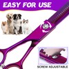 JASON Grooming Scissors for Dogs - Sharp Thinning Dog Shear