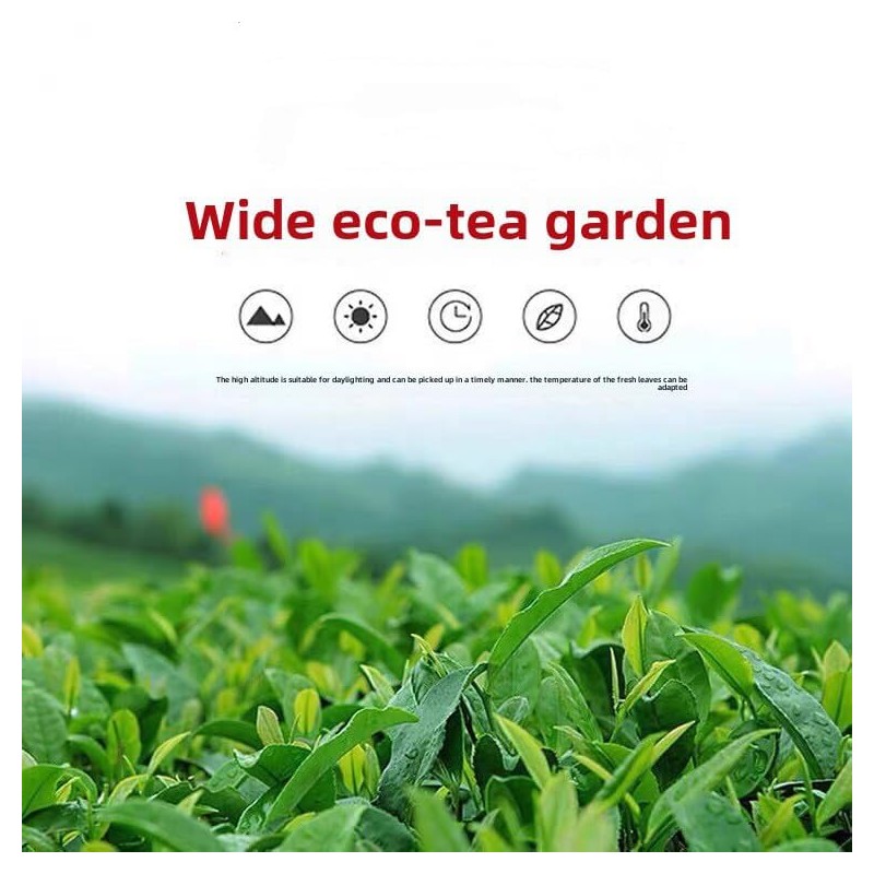 Oolong Tea 8.81oz /250g（30Bags）Phoenix Dancong （Honey Orchid Aroma）Chao Zhou Feng