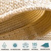 Shade&Beyond Shade&Beyond 8'x10' Sun Shade Sails Canopy Rectangle Sand 185GSM