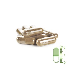 AniForte WermiX for Dogs, 50 Capsules - Natural Dewormer, Natural Product During and After Worm Infestation, Natural, Pure, Chemical-Free