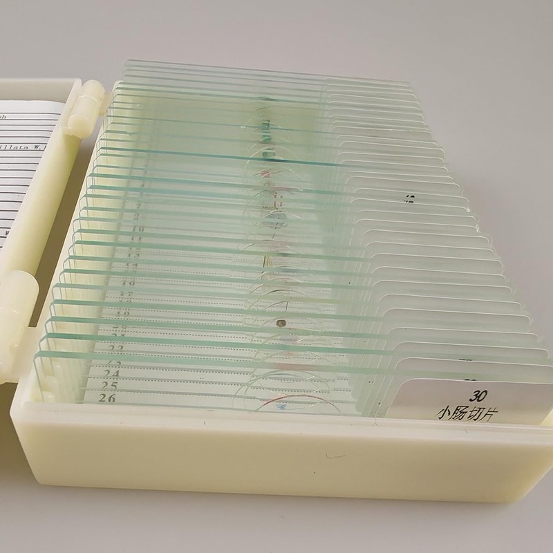 30 Pcs Microscope Slides Prepared Biology Specimen Lab Sample with