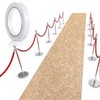 Tatuo Carpet Runner Runway Rug 55 GSM Thickness with Carpet